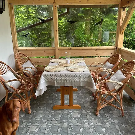 Σπίτι διακοπών Swit W Gorcach - Ochotnica Dolna